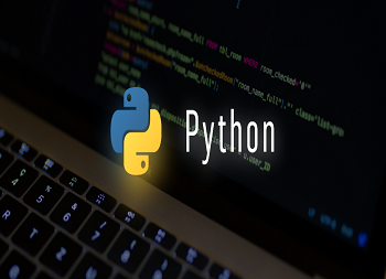 Python Web Development Company