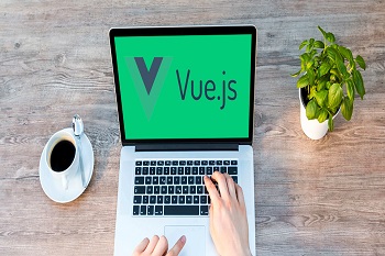 Vue Js Development Services
