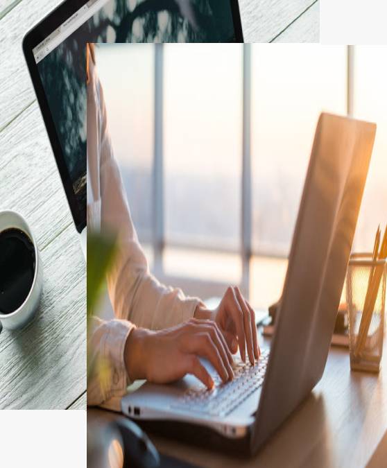 Warum Ammaiya für den Wordpress-Entwicklungsservice wählen?