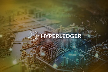 Hyperledger-Entwicklung