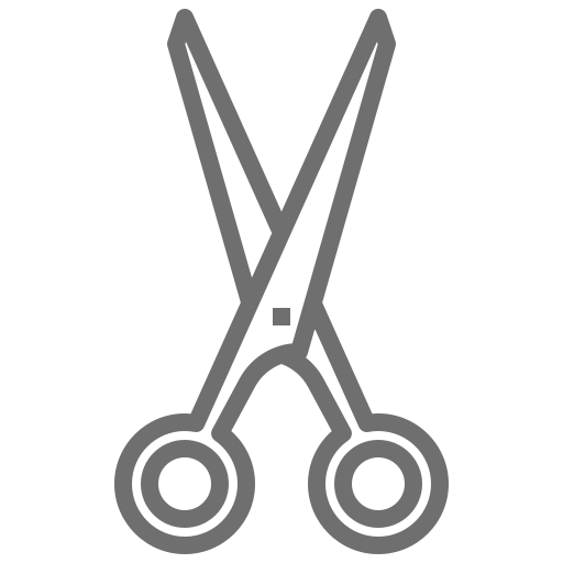 Société de développement de Kentico
